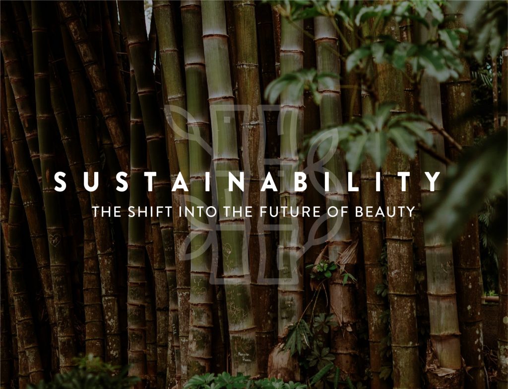 Sustainability Chains are Under Scrutiny